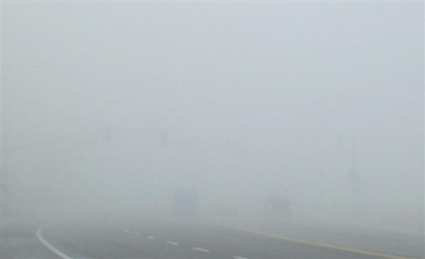 Picture of Foggy street 